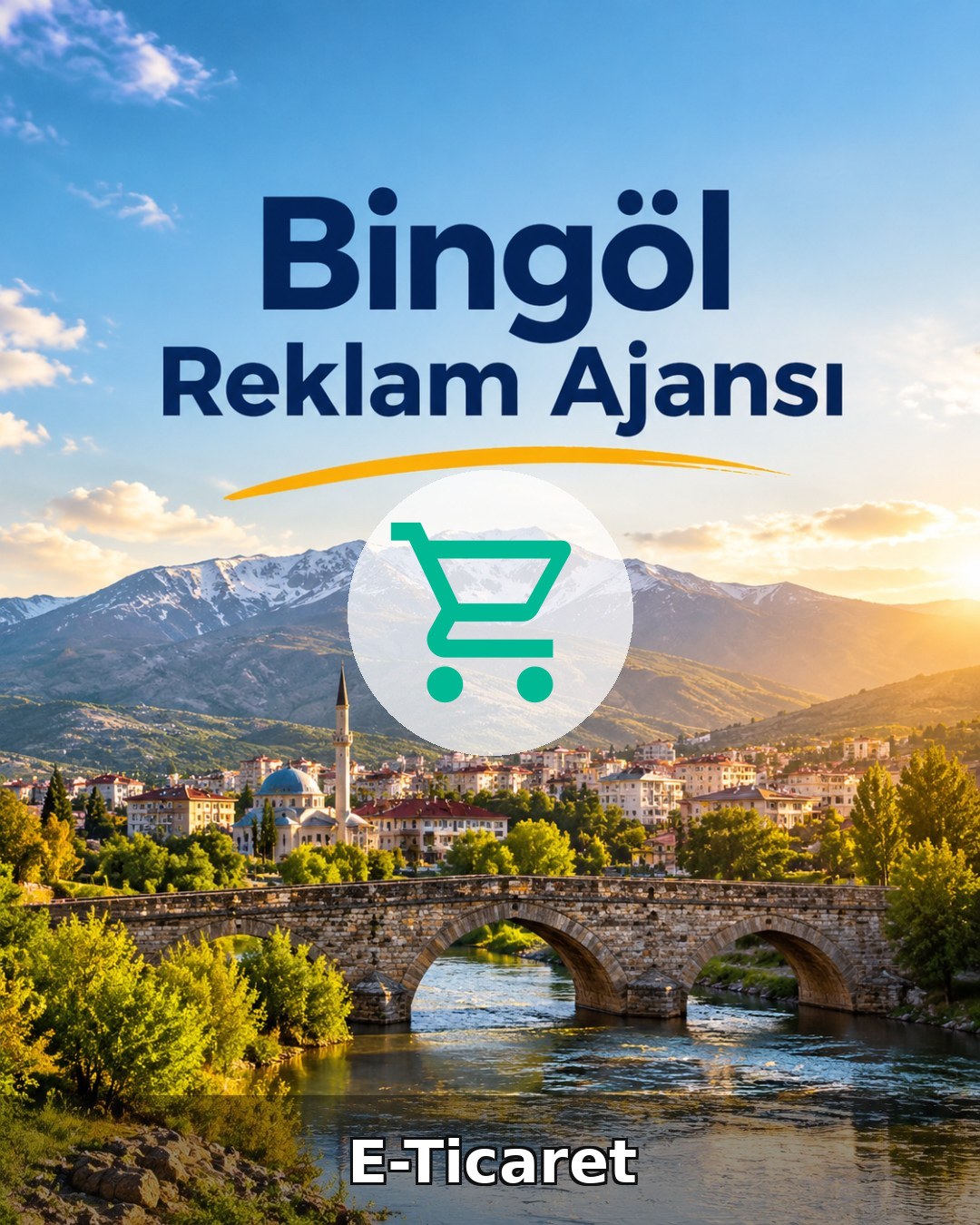 Bingöl E-Ticaret Ajansı