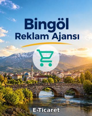 Bingöl E-Ticaret Ajansı