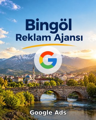 Bingöl Google Ads Ajansı