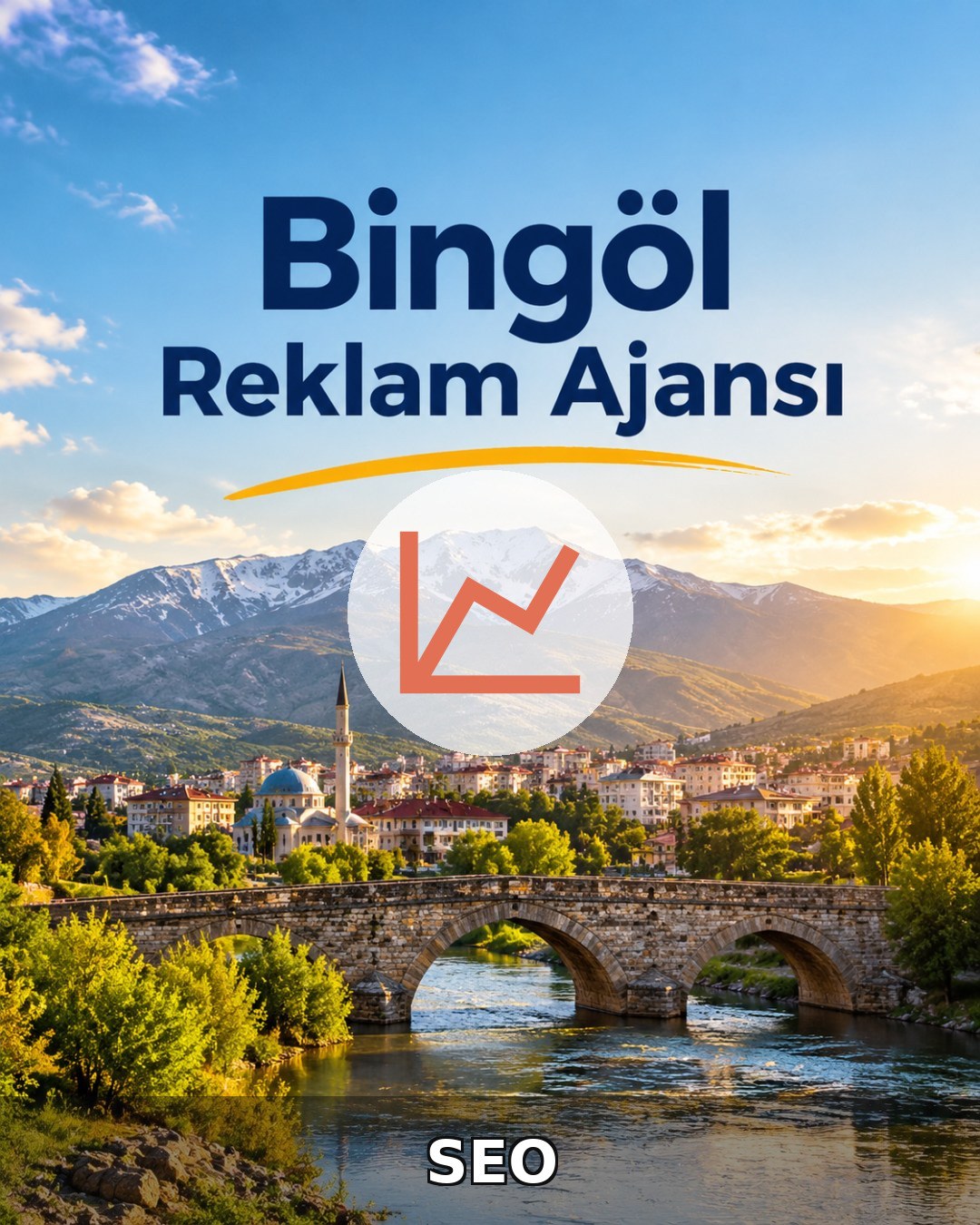 Bingöl SEO Hizmeti