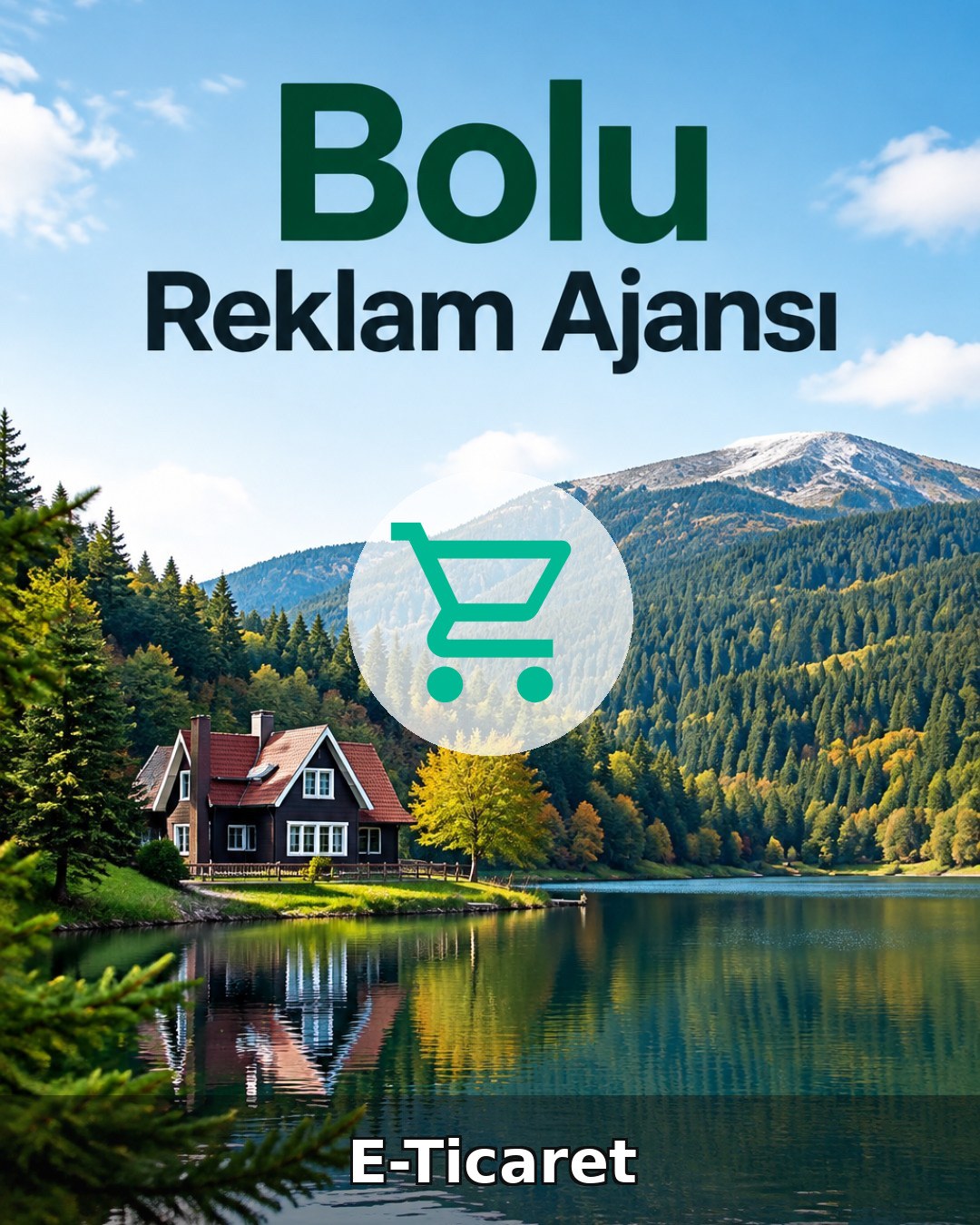 Bolu E-Ticaret Ajansı