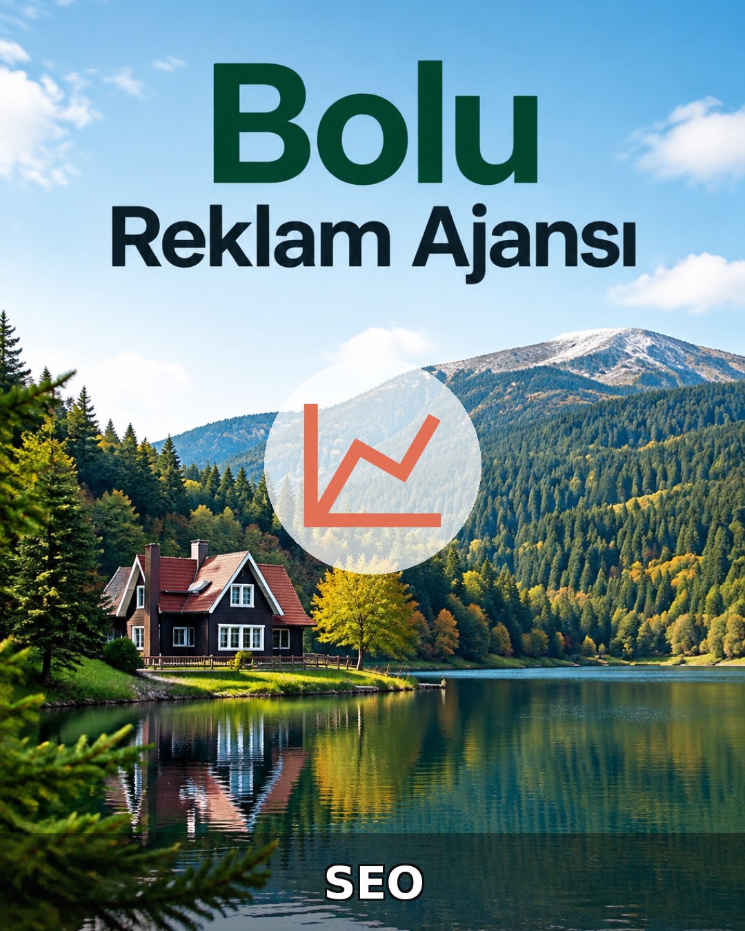 Bolu SEO Hizmeti