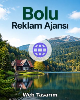 Bolu Web Tasarım