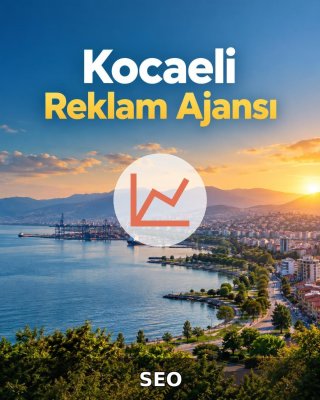 Kocaeli SEO Hizmeti