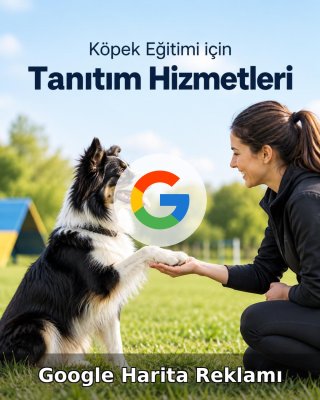 Köpek Eğitimi Google Harita Reklamı