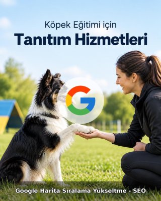 Köpek Eğitimi Google Harita Sıralama Yükseltme - SEO