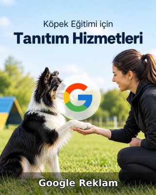 Köpek Eğitimi Google Reklam Yönetimi