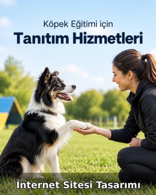 Köpek Eğitimi İnternet Sitesi Tasarımı (Web Tasarım)