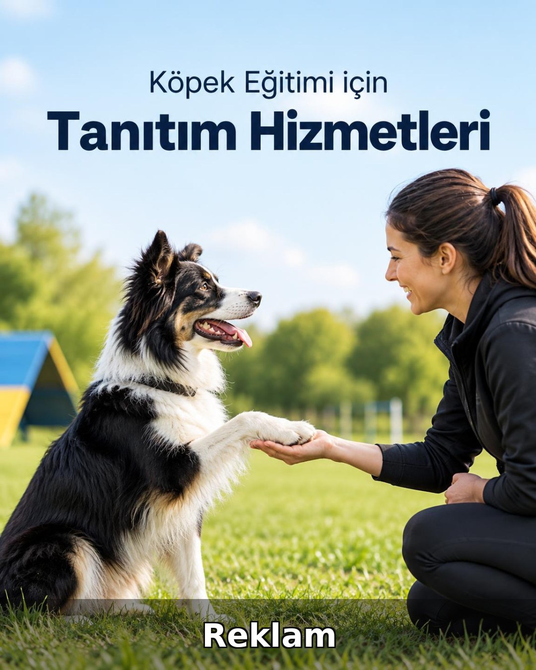 Köpek Eğitimi Reklam Yönetimi