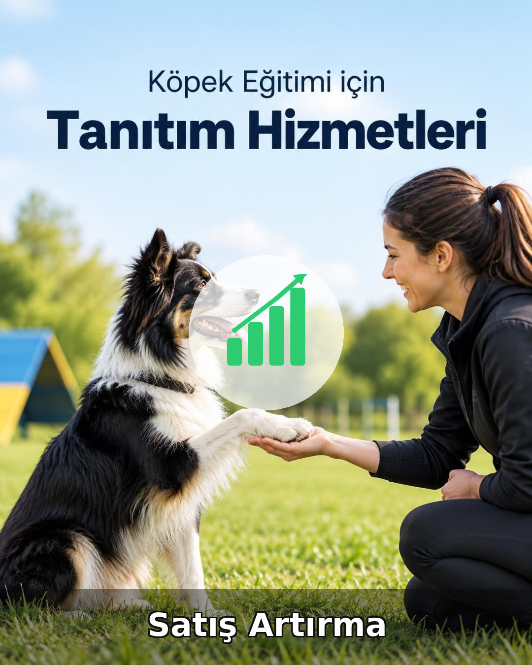Köpek Eğitimi Satış Artırma