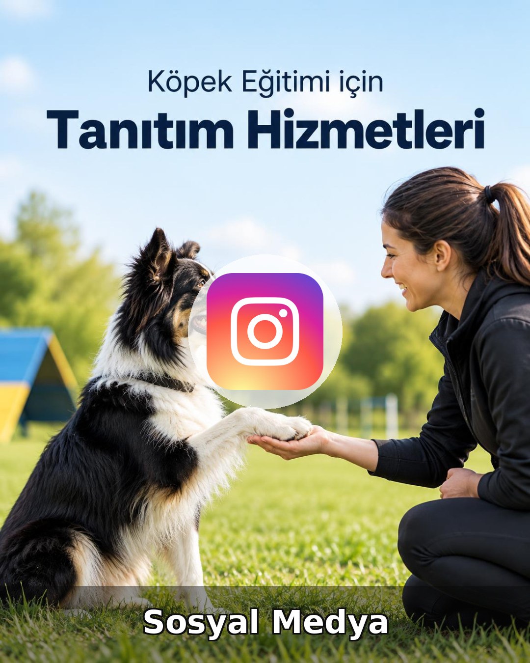 Köpek Eğitimi Sosyal Medya Yönetimi