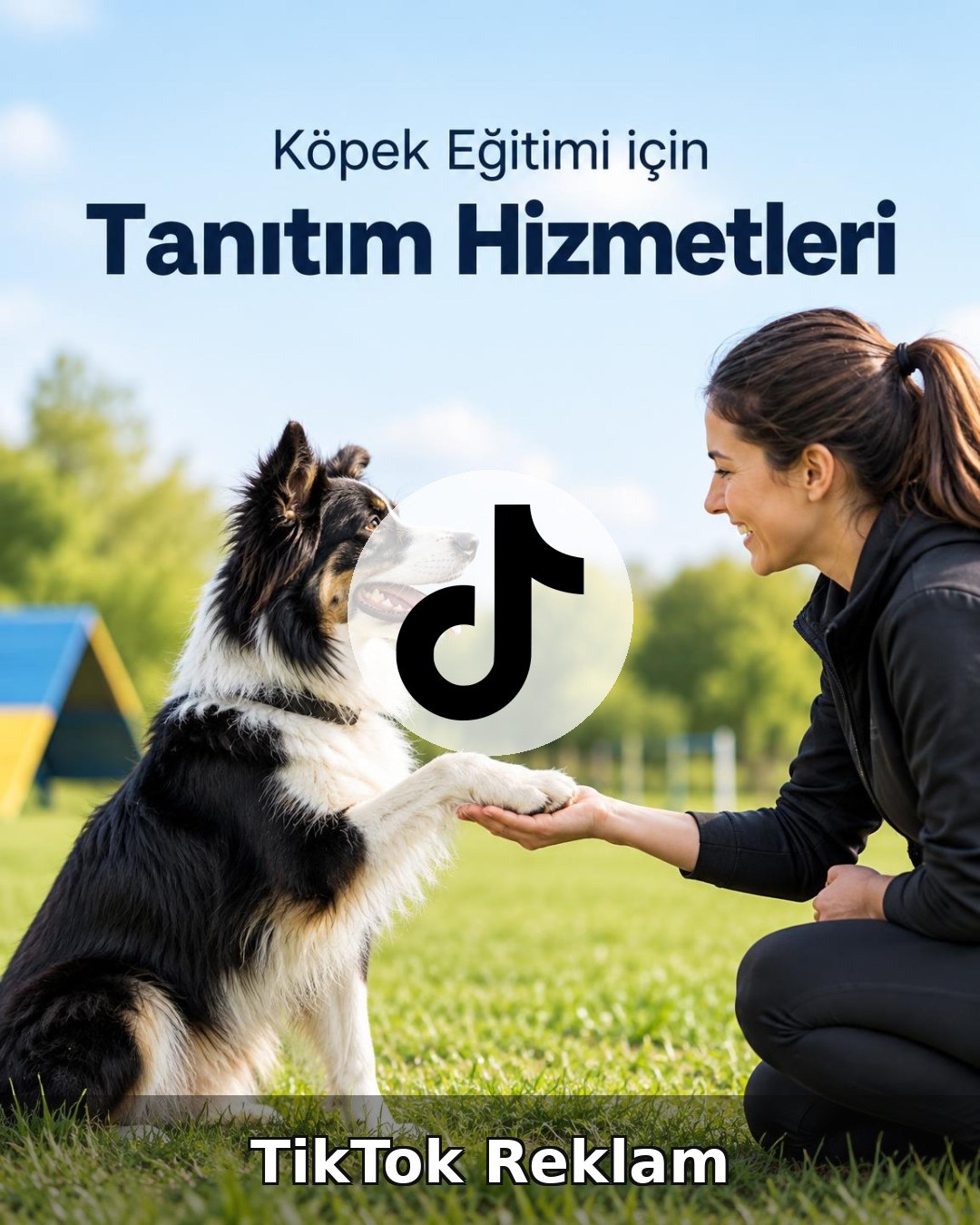 Köpek Eğitimi TikTok Reklam Yönetimi