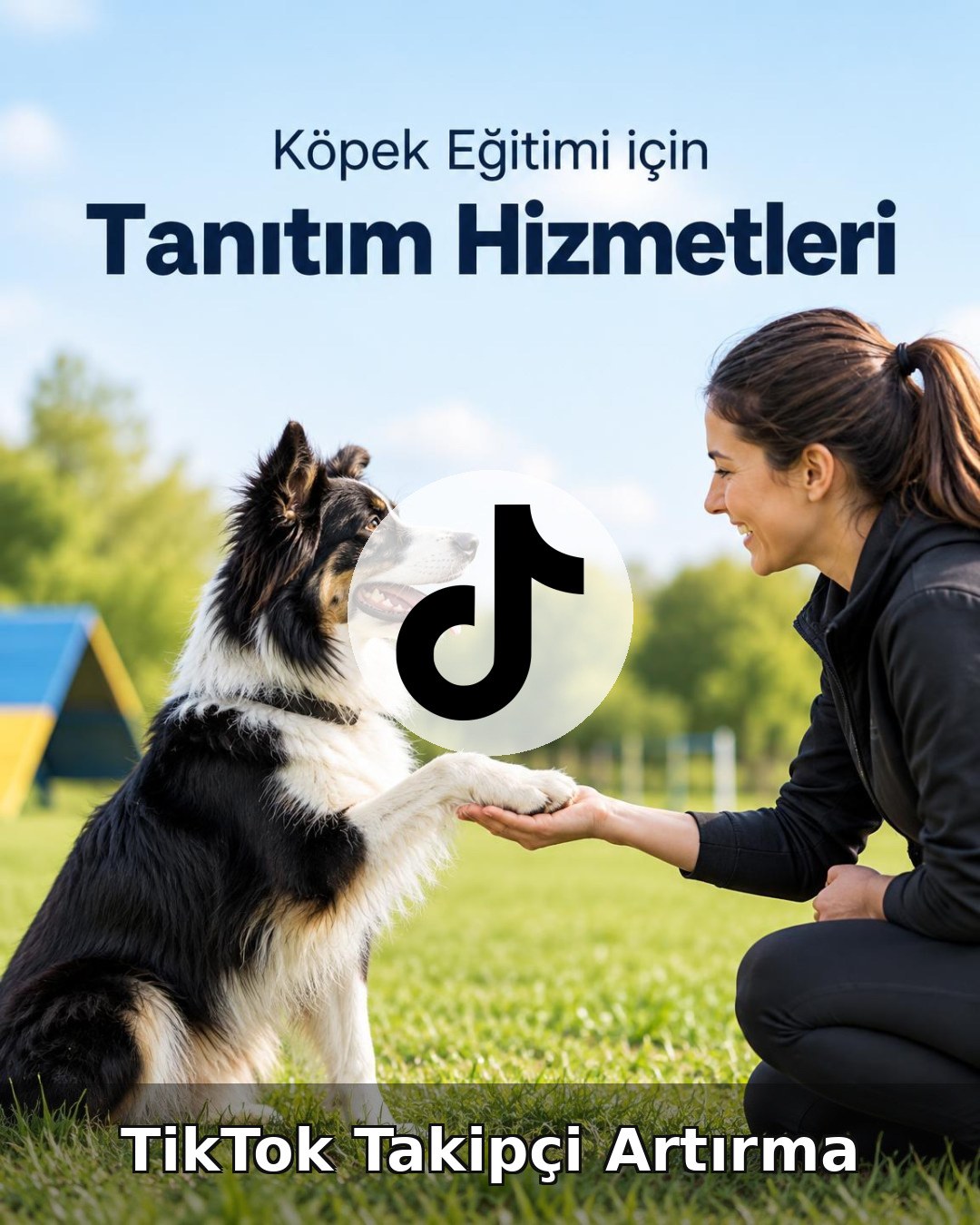 Köpek Eğitimi TikTok Takipçi Artırma