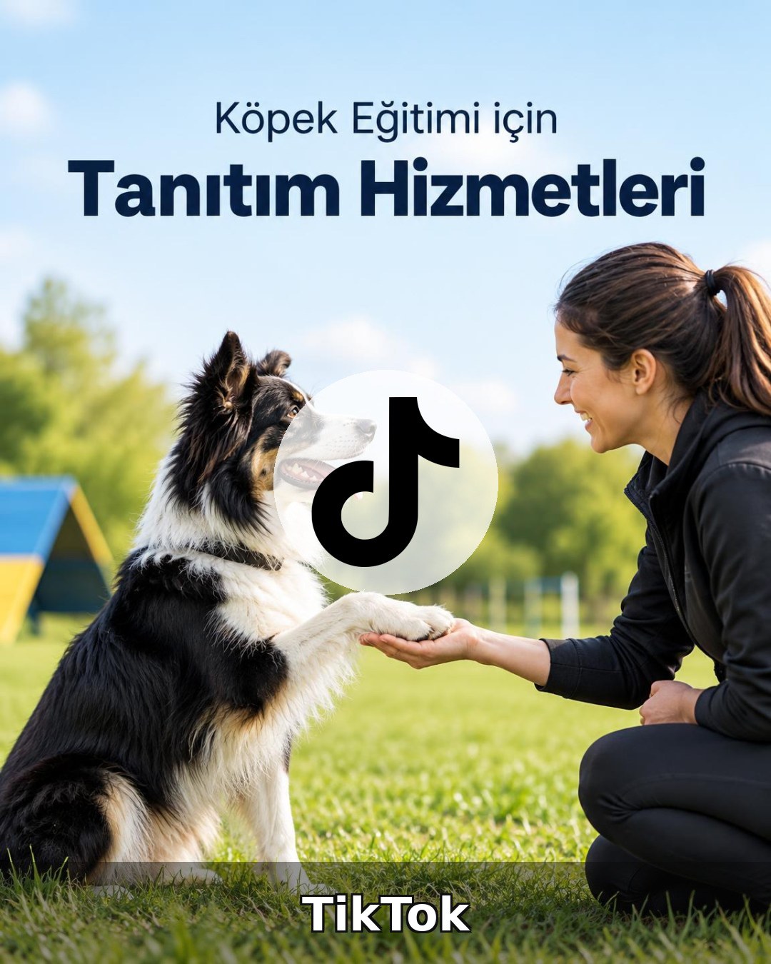 Köpek Eğitimi TikTok Yönetimi