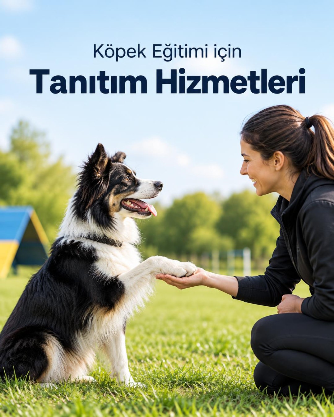 Köpek Eğitimie Özel Tanıtım Hizmetleri