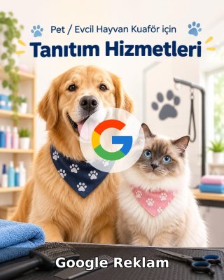 Pet / Evcil Hayvan Otel Google Reklam Yönetimi