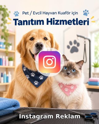 Pet / Evcil Hayvan Otel Instagram Reklam Yönetimi