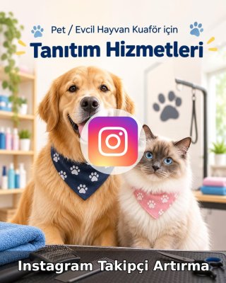 Pet / Evcil Hayvan Otel Instagram Takipçi Artırma