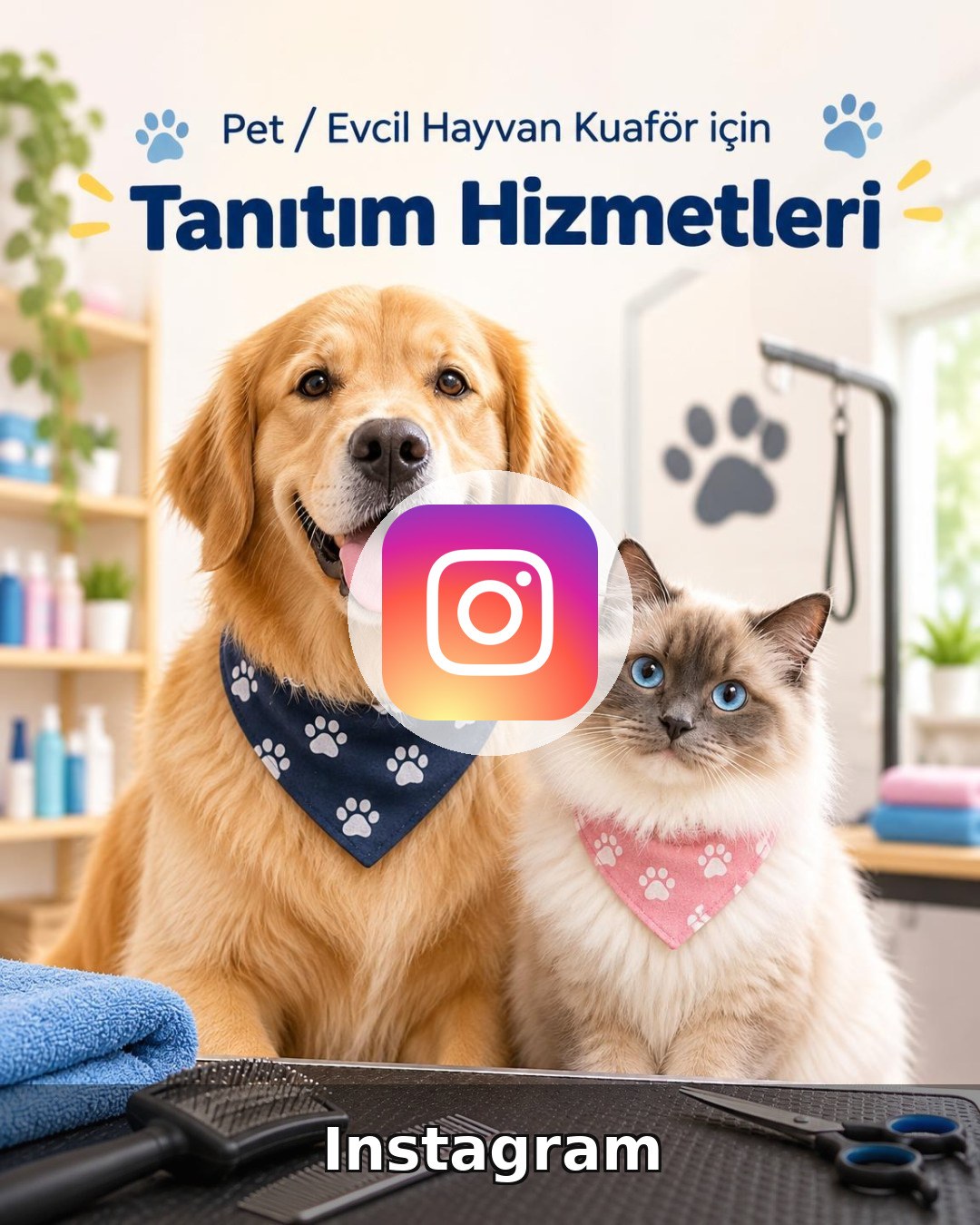 Pet / Evcil Hayvan Otel Instagram Yönetimi