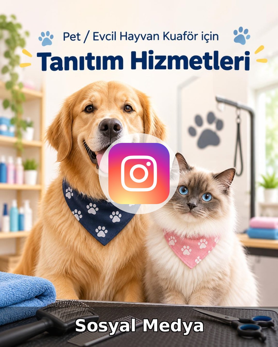 Pet / Evcil Hayvan Otel Sosyal Medya Yönetimi