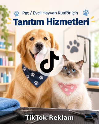 Pet / Evcil Hayvan Otel TikTok Reklam Yönetimi