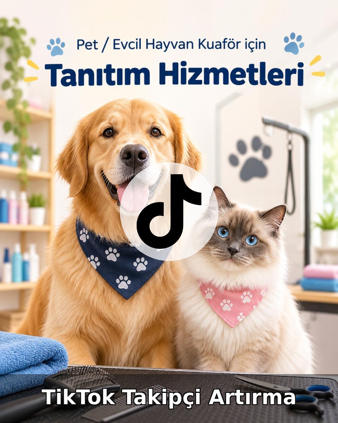 Pet / Evcil Hayvan Otel TikTok Takipçi Artırma