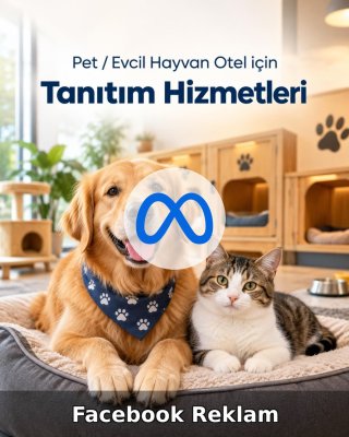 Pet / Evcil Hayvan Otel Facebook Reklam Yönetimi