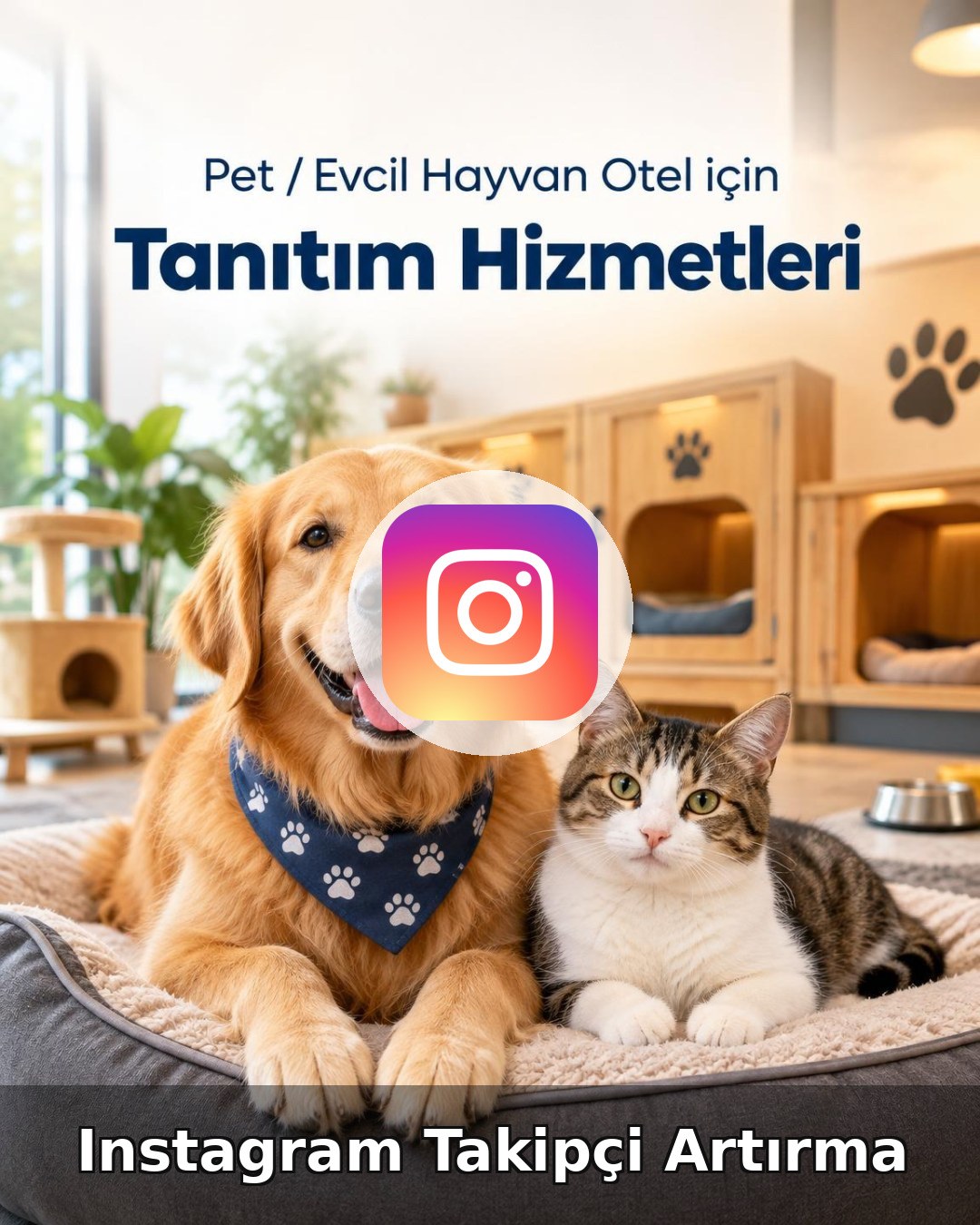 Pet / Evcil Hayvan Otel Instagram Takipçi Artırma