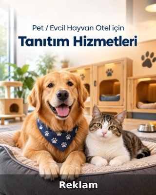 Pet / Evcil Hayvan Otel Reklam Yönetimi