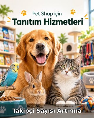 Pet Shop Takipçi Sayısı Artırma