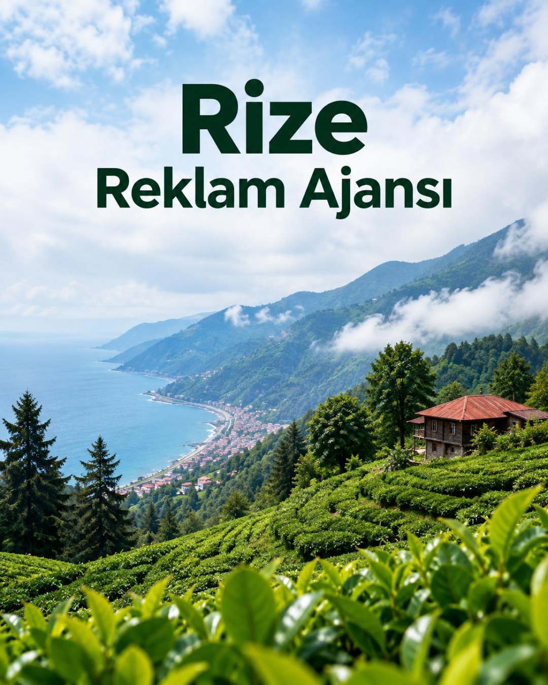 Rize Reklam Ajansı