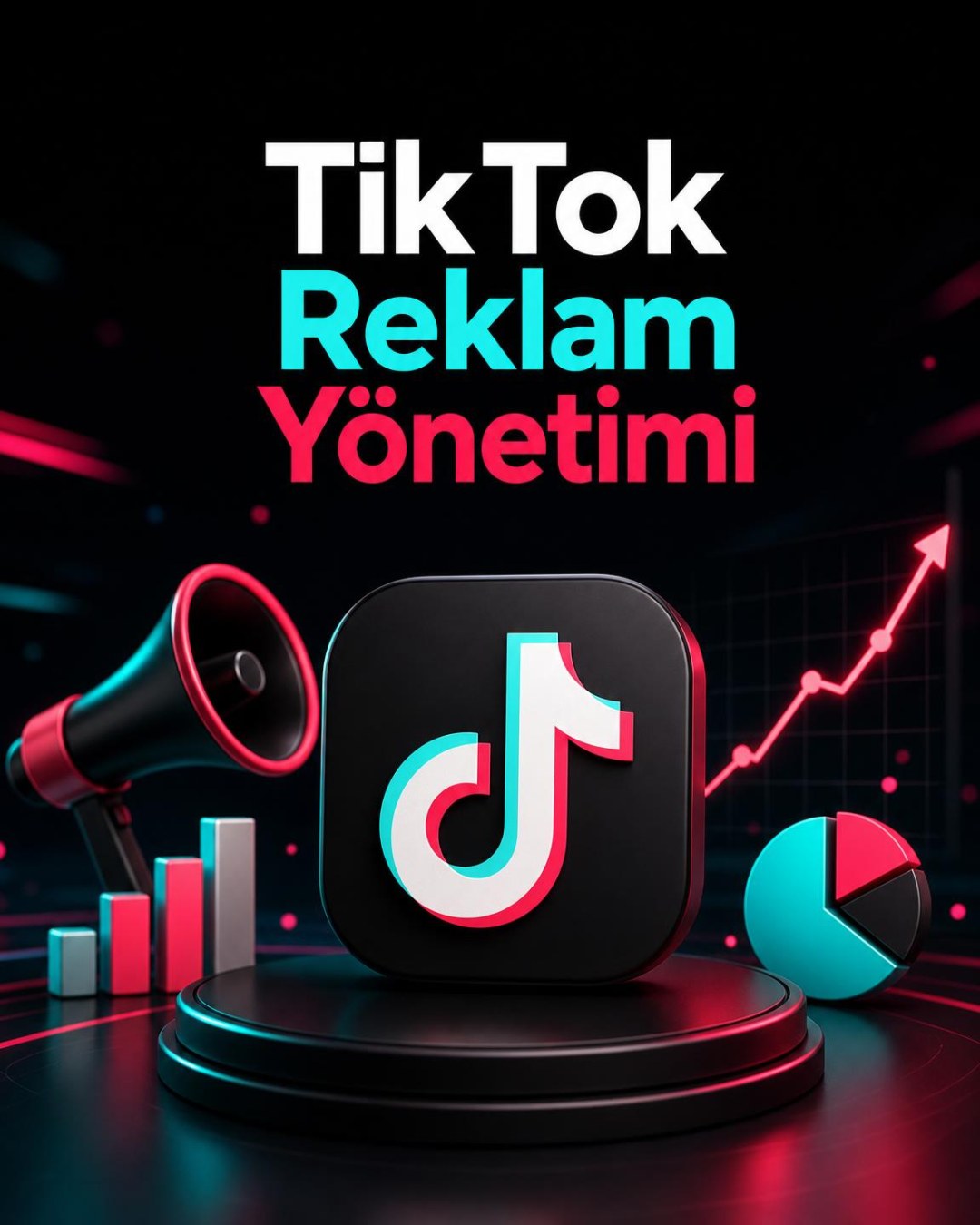 TikTok Reklam Yönetimi