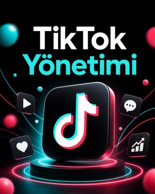 TikTok Yönetimi