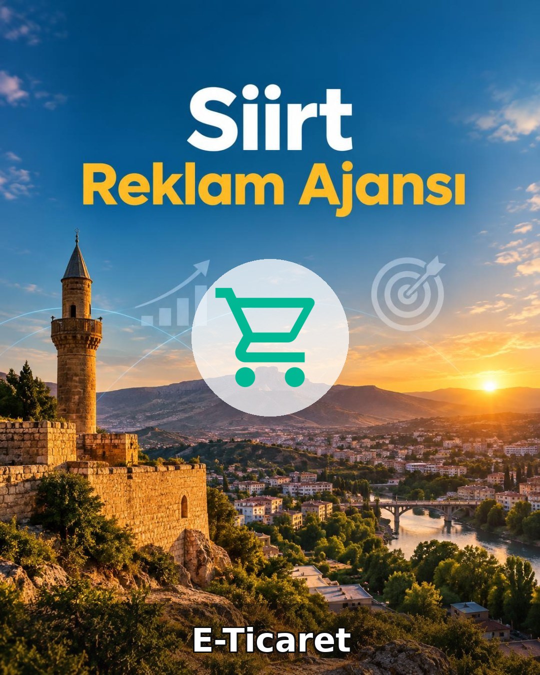 Siirt E-Ticaret Ajansı